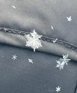Tom 02 Sneeuwvlokken